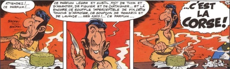 Nouveau site par La Boite A Truc : Fleurs de Maquis