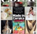 http://www.laboiteatruc.com/blog/Auto-congratulation-La-Boite-A-Truc-dans-le-dernier-Terra-Corsa_a287.html