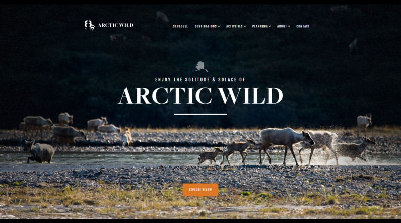 Etourisme, un coup de coeur pour le site Artic Wild