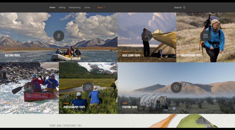 Etourisme, un coup de coeur pour le site Artic Wild