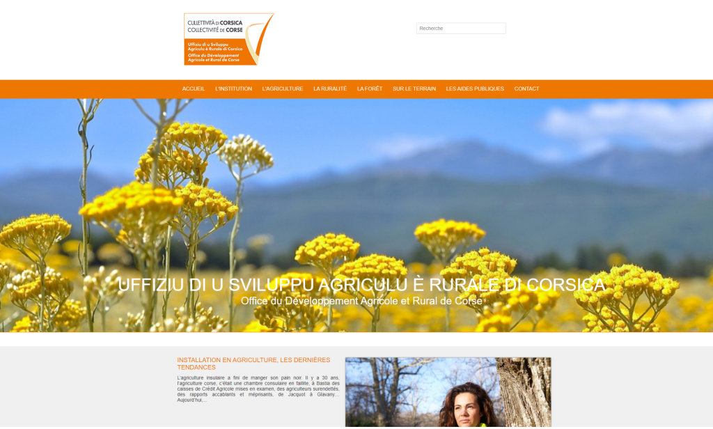 Nouveau site : refonte du site de l'Odarc