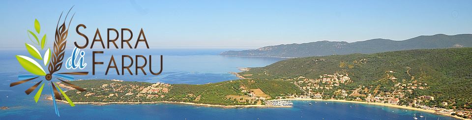 Refonte du site de Serra di Ferro