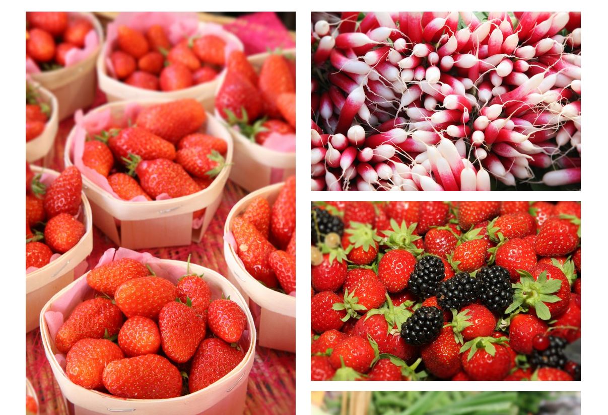 ©Fanette Bruel ©Fanette Bruel