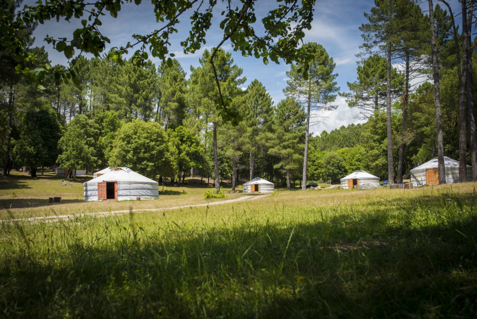 Dormir dans des yourtes à Zonza Dormir dans des yourtes à Zonza