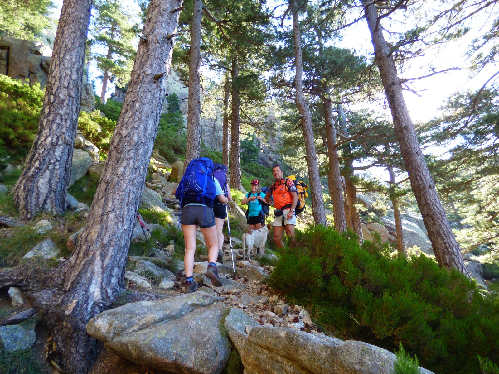 Randonnée à Bavella Randonnée à Bavella