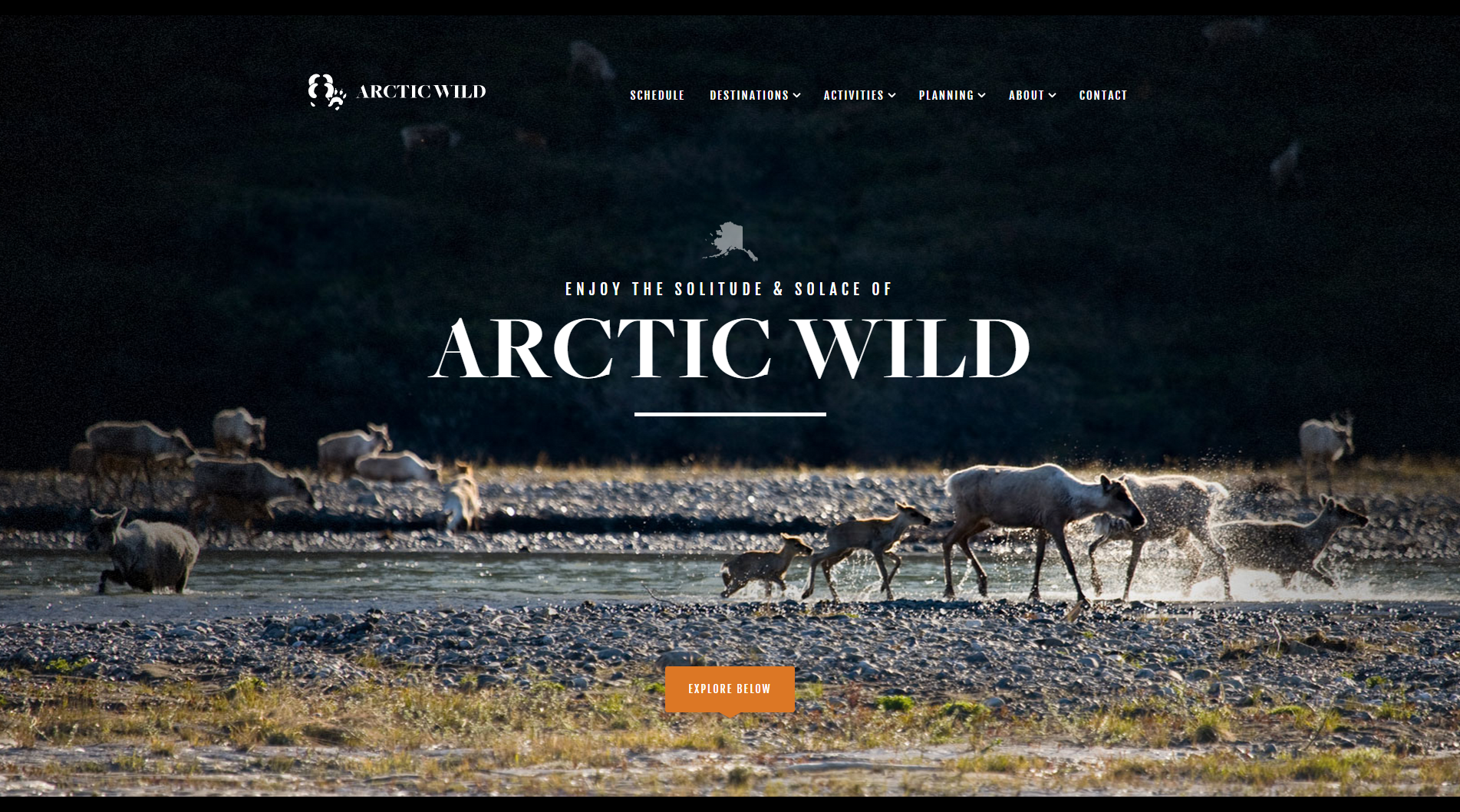 Etourisme, un coup de coeur pour le site Artic Wild