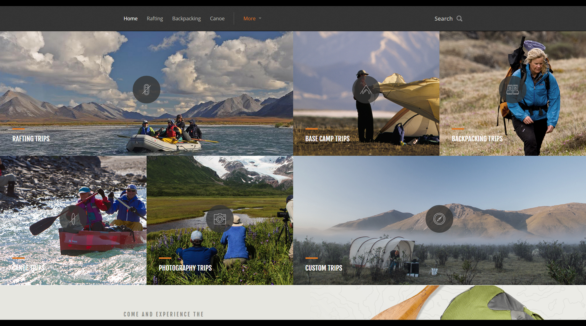 Etourisme, un coup de coeur pour le site Artic Wild