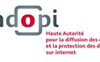 Hadopi, ou l'histoire du pirate qui fait rire le net !