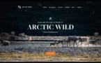 Etourisme, un coup de coeur pour le site Artic Wild